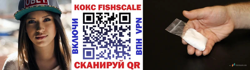 Cocaine FishScale  Купить  Мезень 