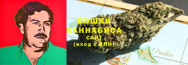 стаф Волоколамск